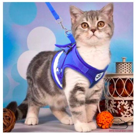 Tali Harness Kucing Anjing Tali Anjing Harness Cat Rompi Kucing