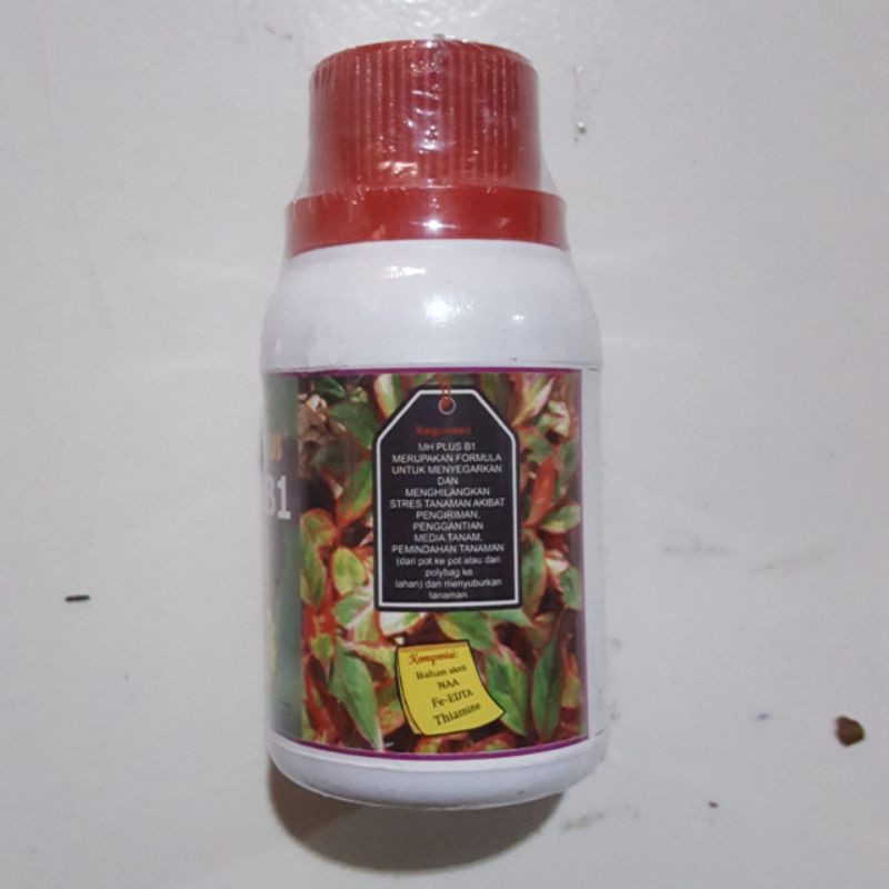 Vitamin B1 MEKAR HURIP Plus 100ML