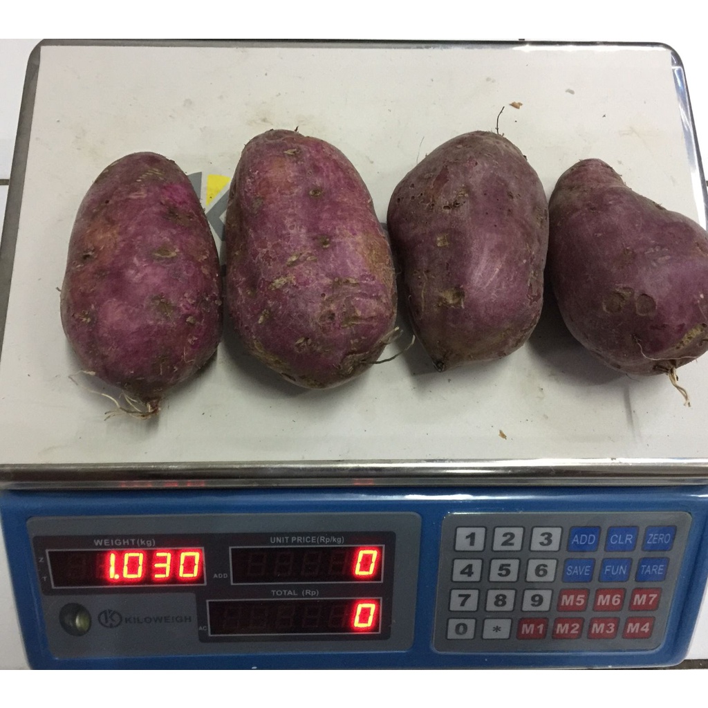 

Ubi Ungu Umbi Sehat Segar 1kg