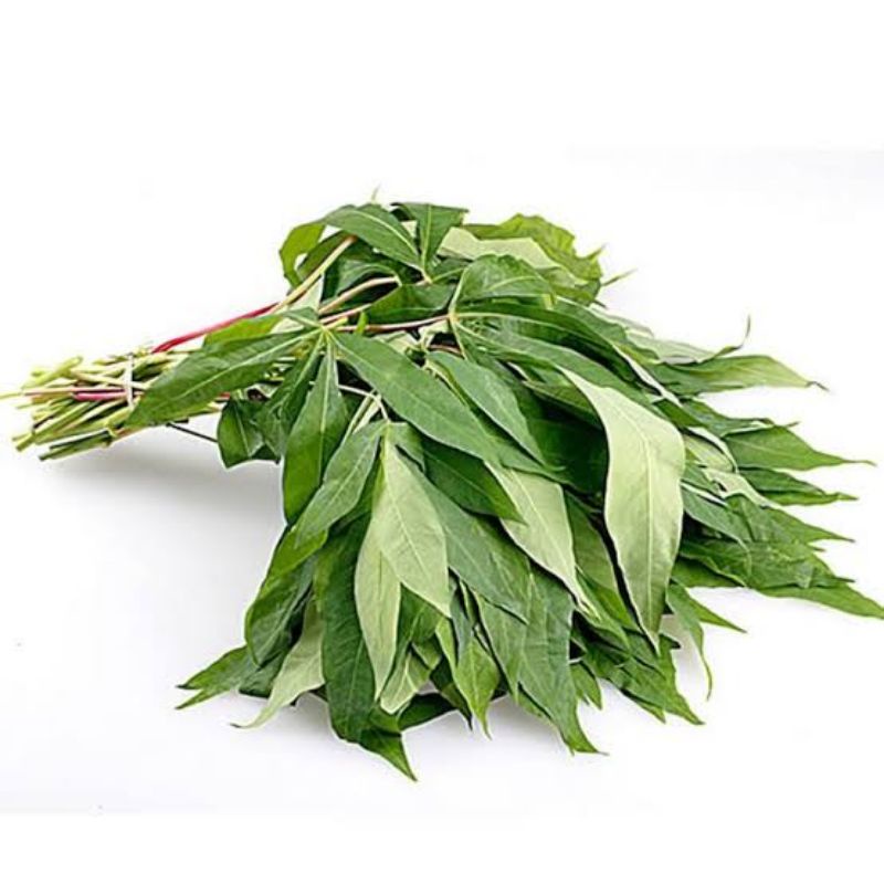 

Daun singkong fresh 1ikat