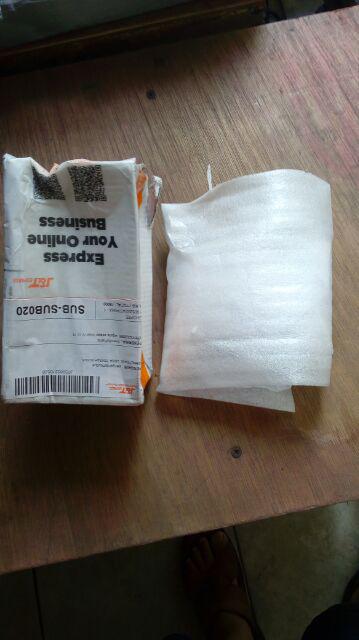 Benih Biji Bibit Buncis Tidak Merambat