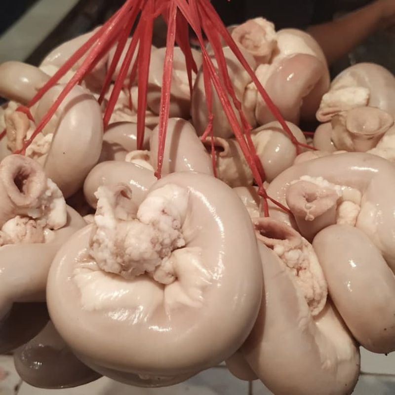 usus sapi fres/frozen