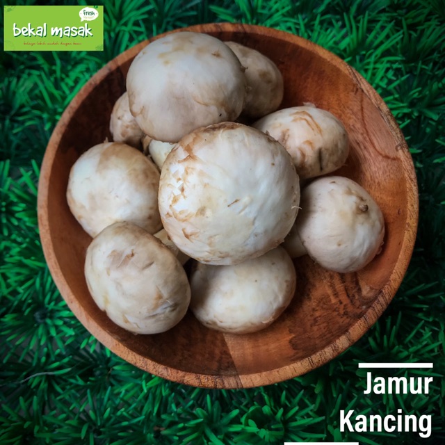 

Jamur Kancing Champignon