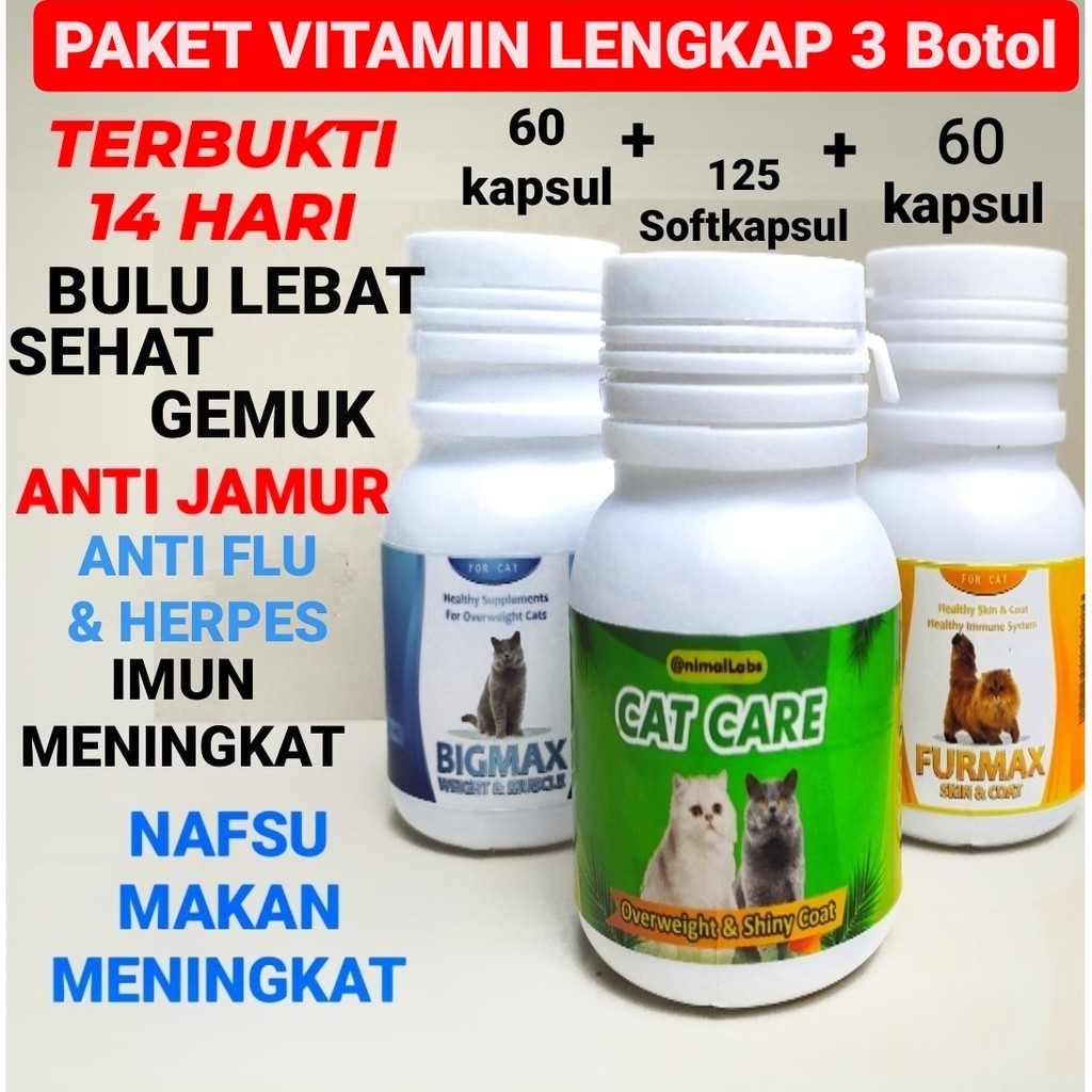 VITAMIN KUCING VITAMIN BULU KUCING NAFSU MAKAN KUCING PENGGEMUK KUCING OBAT PENUMBUH BULU KUCING