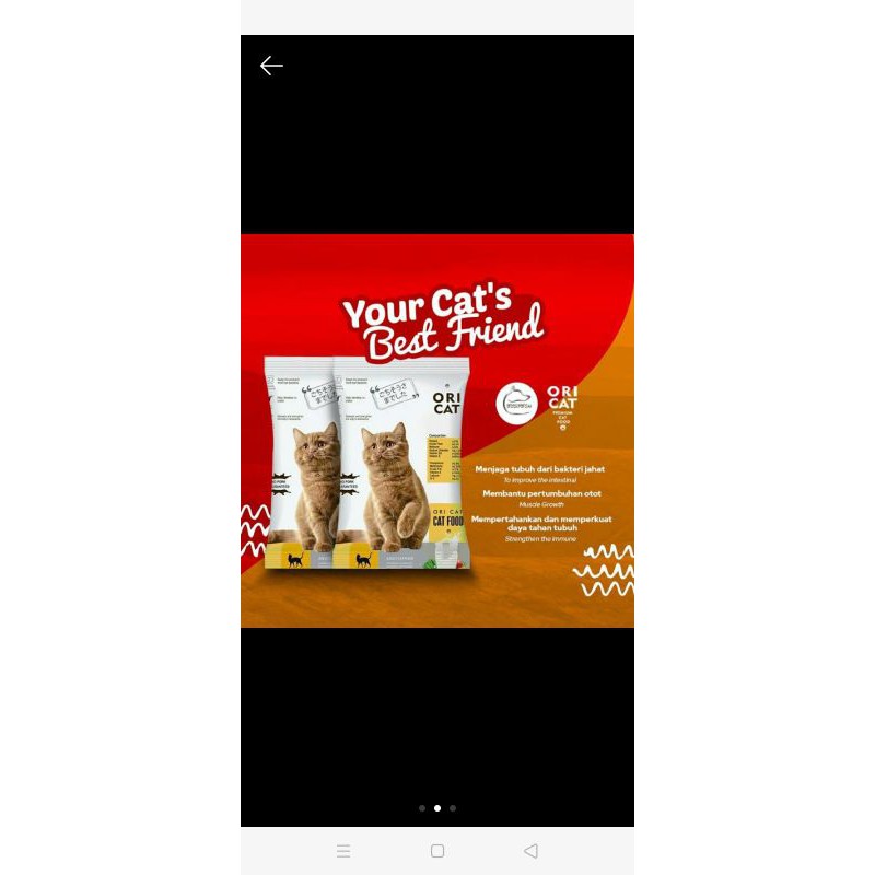 makanan kucing ORI CAT