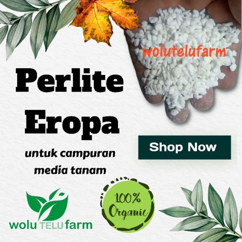 Perlite eropa untuk campuran media tanam aglaonema 2 liter