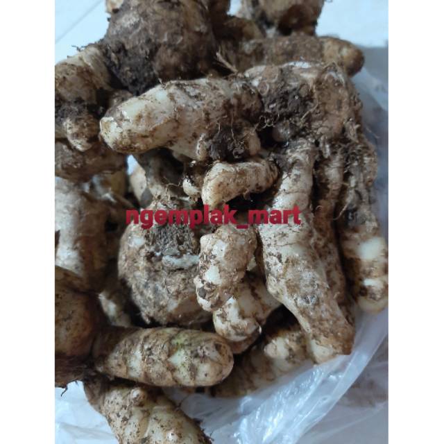 

kunir putih 250gram kunyit putih 1/4kg temu putih Curcuma zedoaria