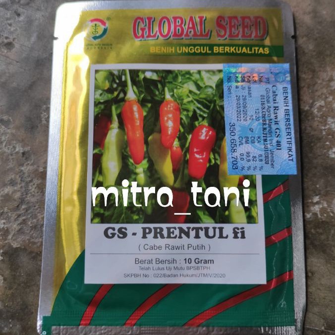benih cabai rawit GS PRENTUL F1 10gram dari GLOBAL SEED