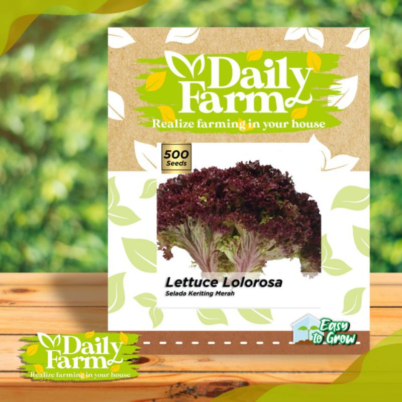 Bibit Benih Sayuran Selada Keriting merah LETTUCE LOLOROSA 1gr Daily Farm Hidroponik Urban Farming