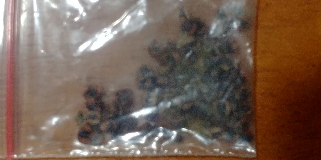 [10 Pcs] Polybag Ukuran 30 Cm X 30 Cm