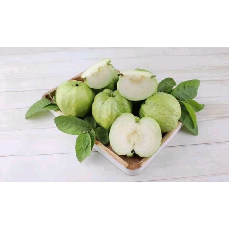 

jambu kristal 1 kg