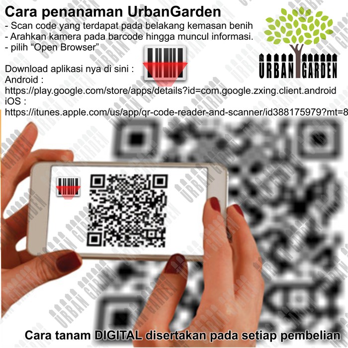 

BONUS BENIH LEMON BASIL IMPORT MP100 FREE GIFT Lemon Basil Seeds Diskon