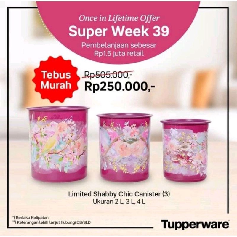 Shabby Chic Canister set(3)