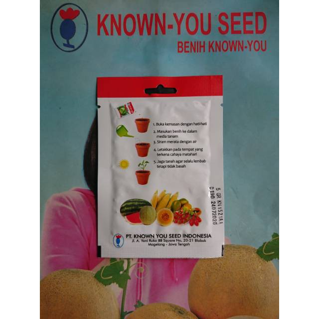 Benih Bibit Seledri SUMMER GREEN 5gr Kemasan Pabrik