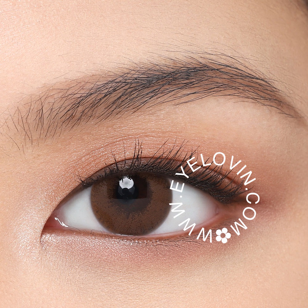 EYELOVIN Softlens Quita - Nami Brown