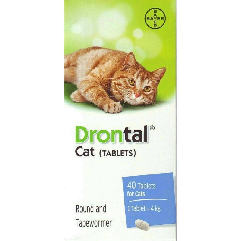 DRONTAL CAT / DRONTAL KUCING / OBAT CACING KUCING / OBAT CACING DRONTAL / DRONTAL