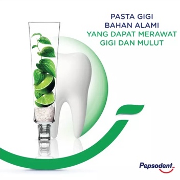 Pepsodent Herbal Complete8 190g Buy 1 get 1