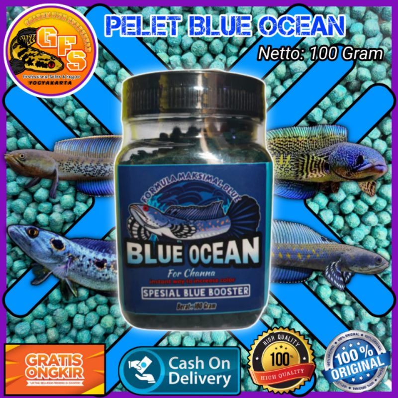 Pakan channa Blue Ocean 100 gram