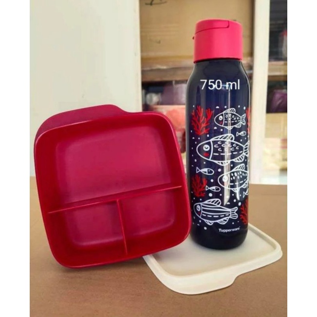 Promo lunch box set tupperware murah original tupperware tepak tempat makan tupperware