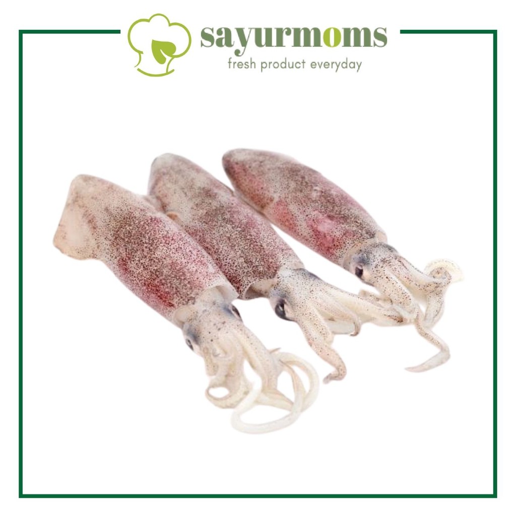 

Cumi Segar 500 gram - 1 kg Surabaya