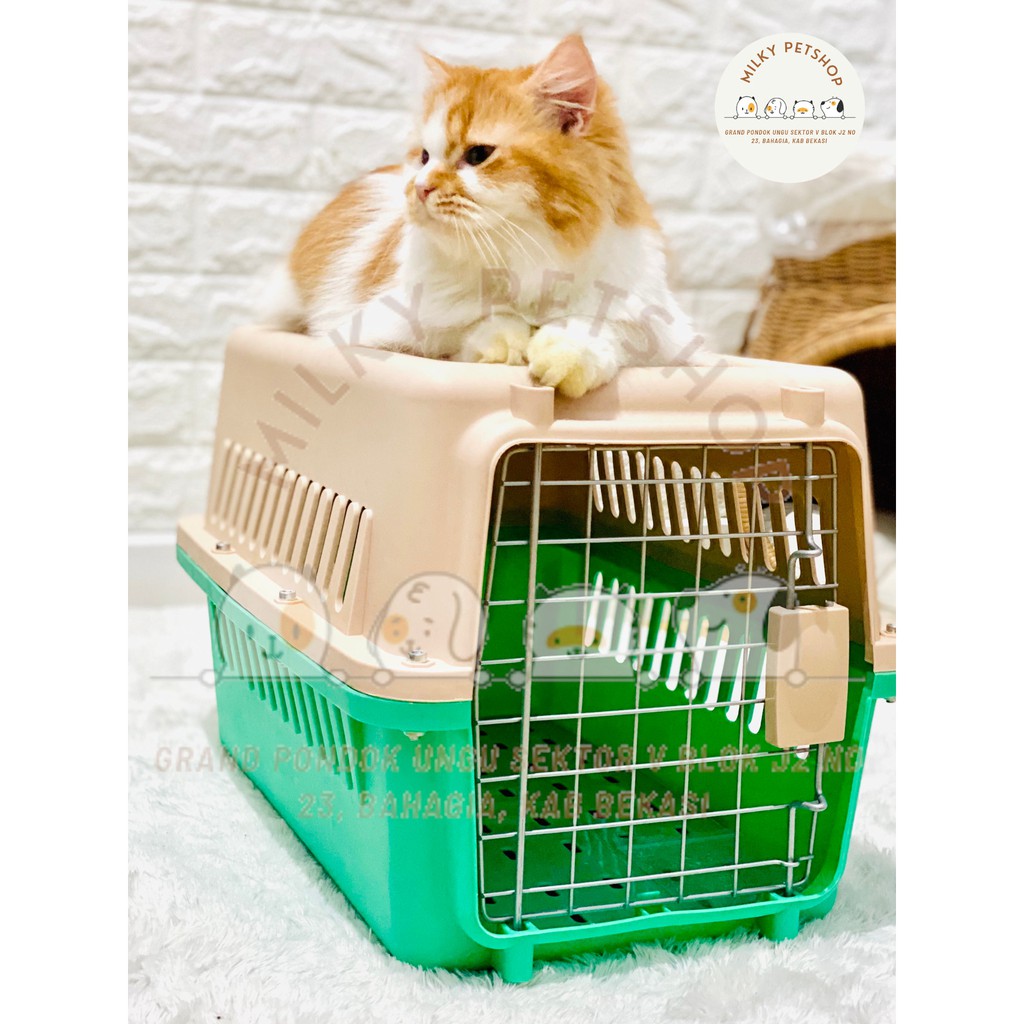 Pet Cargo Pet Carrier Kucing Besar Airbox Keranjang Kucing 48x32x30 Gojek  Only