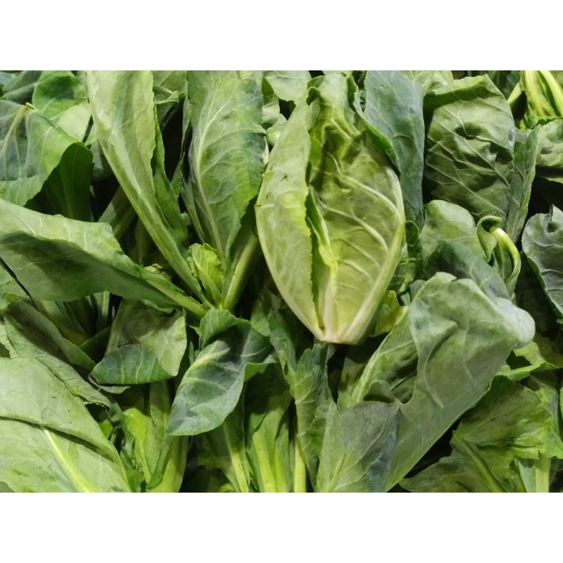 

Comeo daun (500gram-1 Kg)