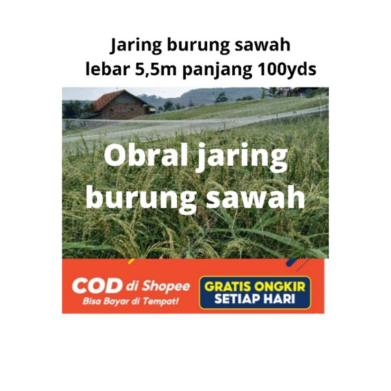 Jaring Burung kecil Jaring Burung pipit Jaring Burung emprit Jaring Burung Sawah  Jaring Padi