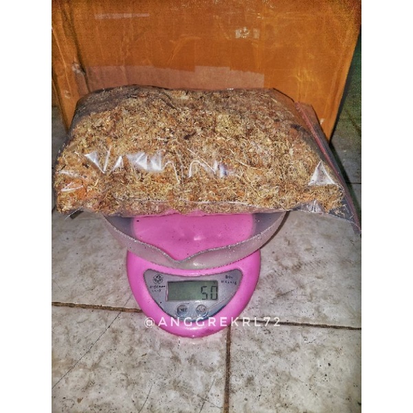 Spagnum mos putih media tanam anggrek original siap pakai per 50gr