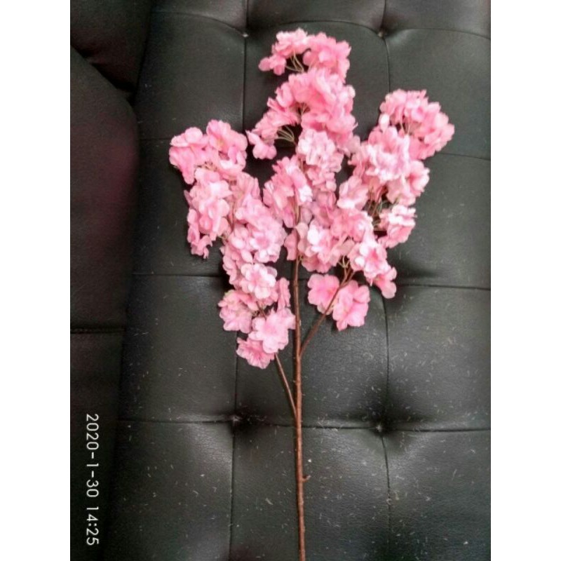 

Cherry Blossom tanpa daun / Bunga Sakura harga khusus