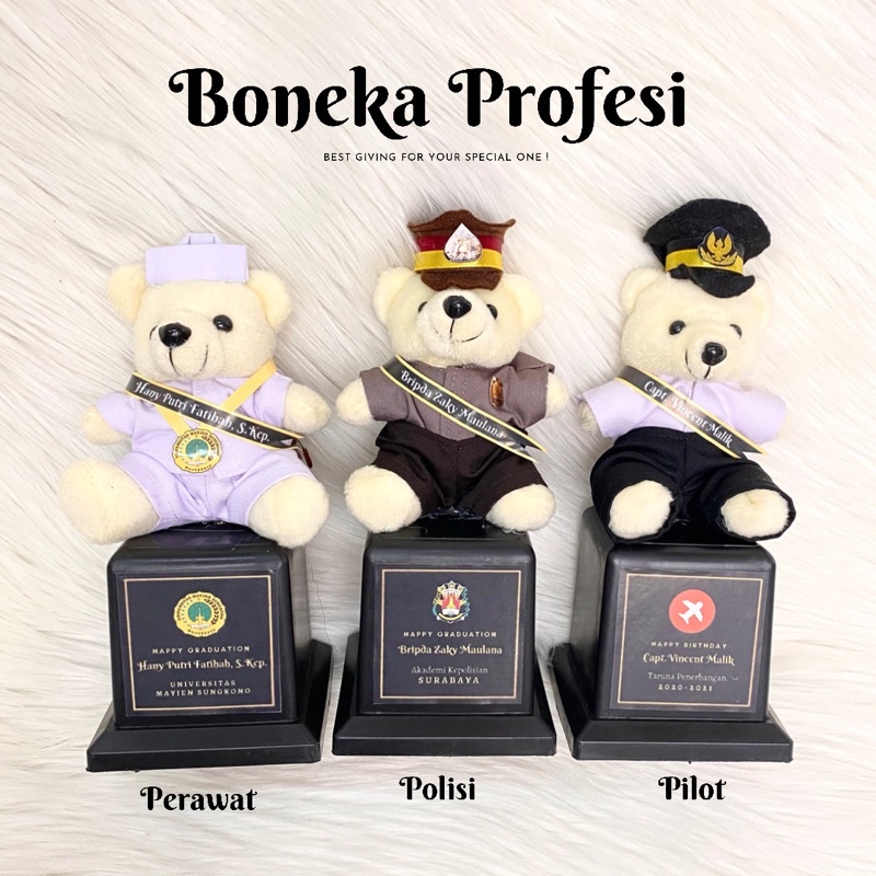 HAMPERS BONEKA PROFESI | PERAWAT BIDAN POLISI DOKTER PILOT | Large Box | Custom Nama Gelar | wisuda/