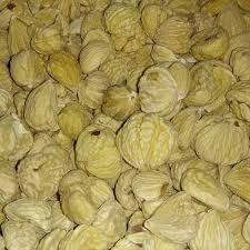 

Kacang Lakci ( 50 gr, 100 gr )