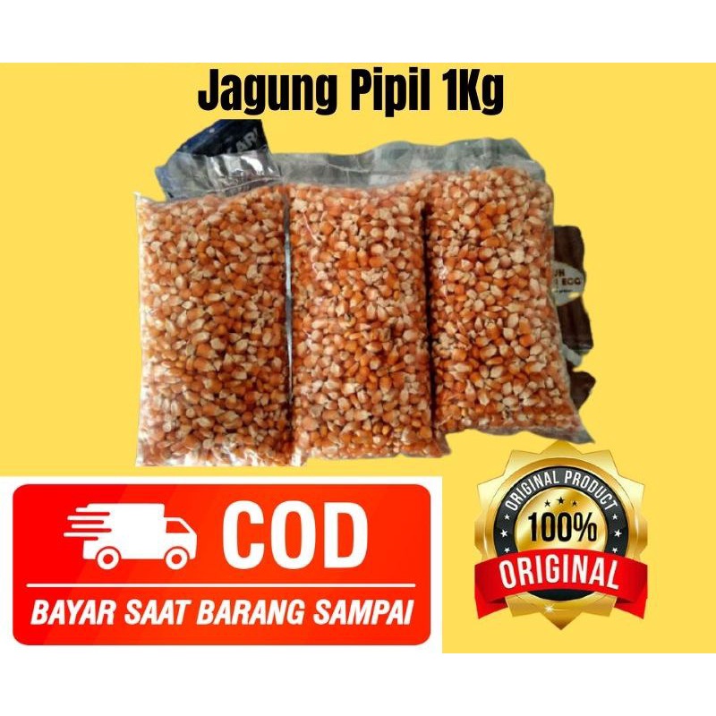 Jagung kering PIPIL