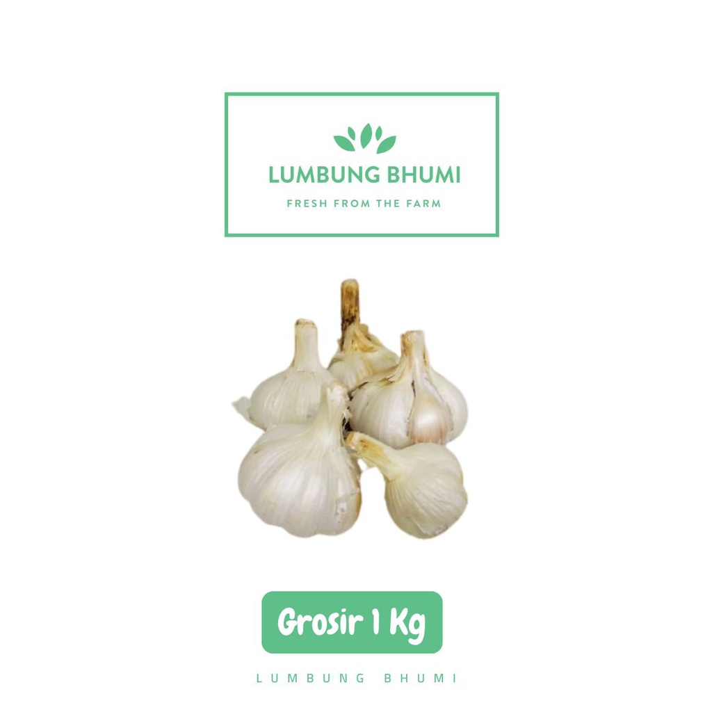 

Lumbung Bhumi - Bawang Kating KULIT 1 Kg ( Sayur Curah )