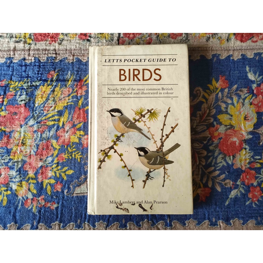 BUKU LETTS POCKET GUIDE TO BIRDS NEARLY 200 OF THE MOST COMMON BRITISH BIRDS DESCRIBED AND ILLUSTRAT