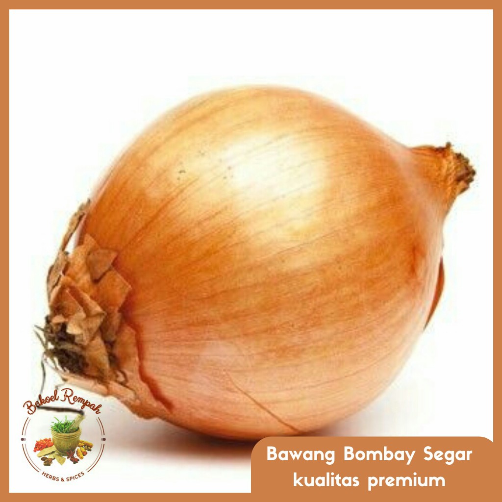 

Bawang Bombay Segar Kualitas Premium 1kg