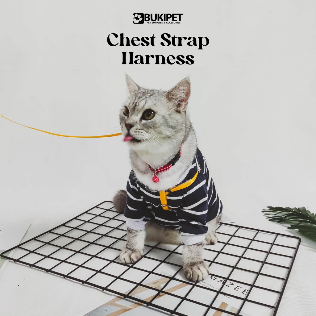 harness kucing anjing kelinci tali tuntun model Y  - CHEST STRAP HARNESS