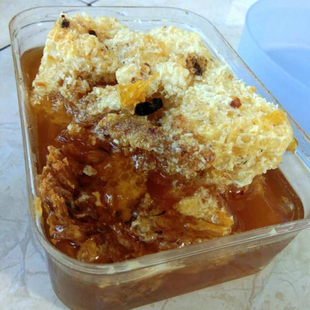 

MADU (sarang) hutan liar LOMBOK