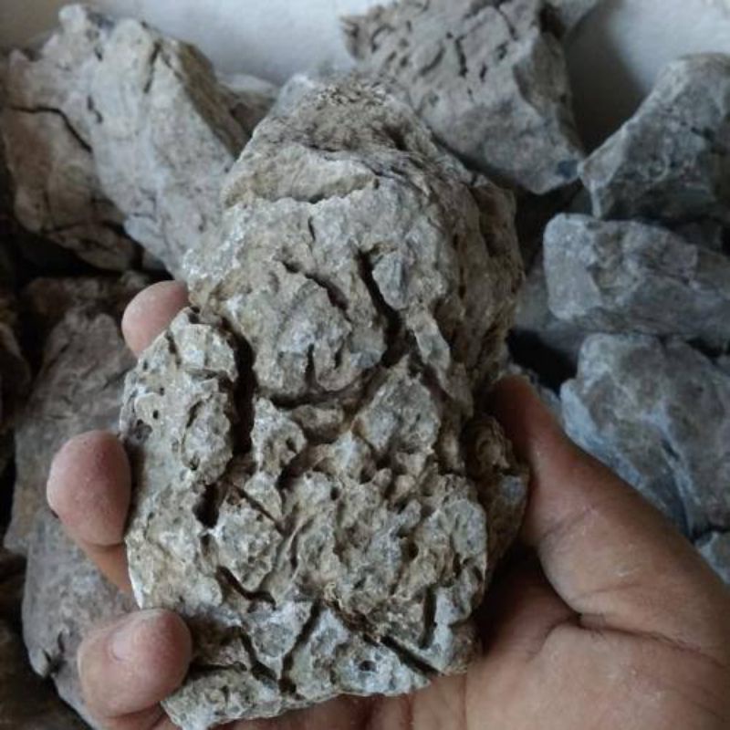 Jual Batu Turly Batu Turly Aquascape Per Kg Shopee Indonesia