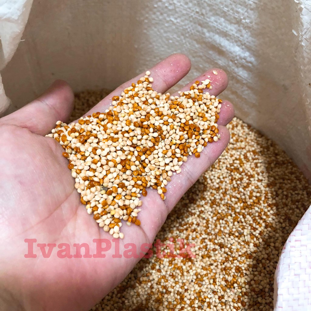 MILET MERAH CAMPUR MILET PUTIH 1KG