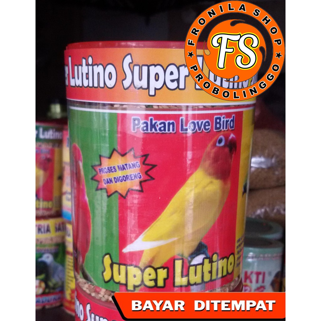 Pakan Burung Love Bird  Super Lutino