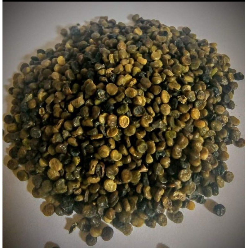 

biji indigofera 100gr termurah