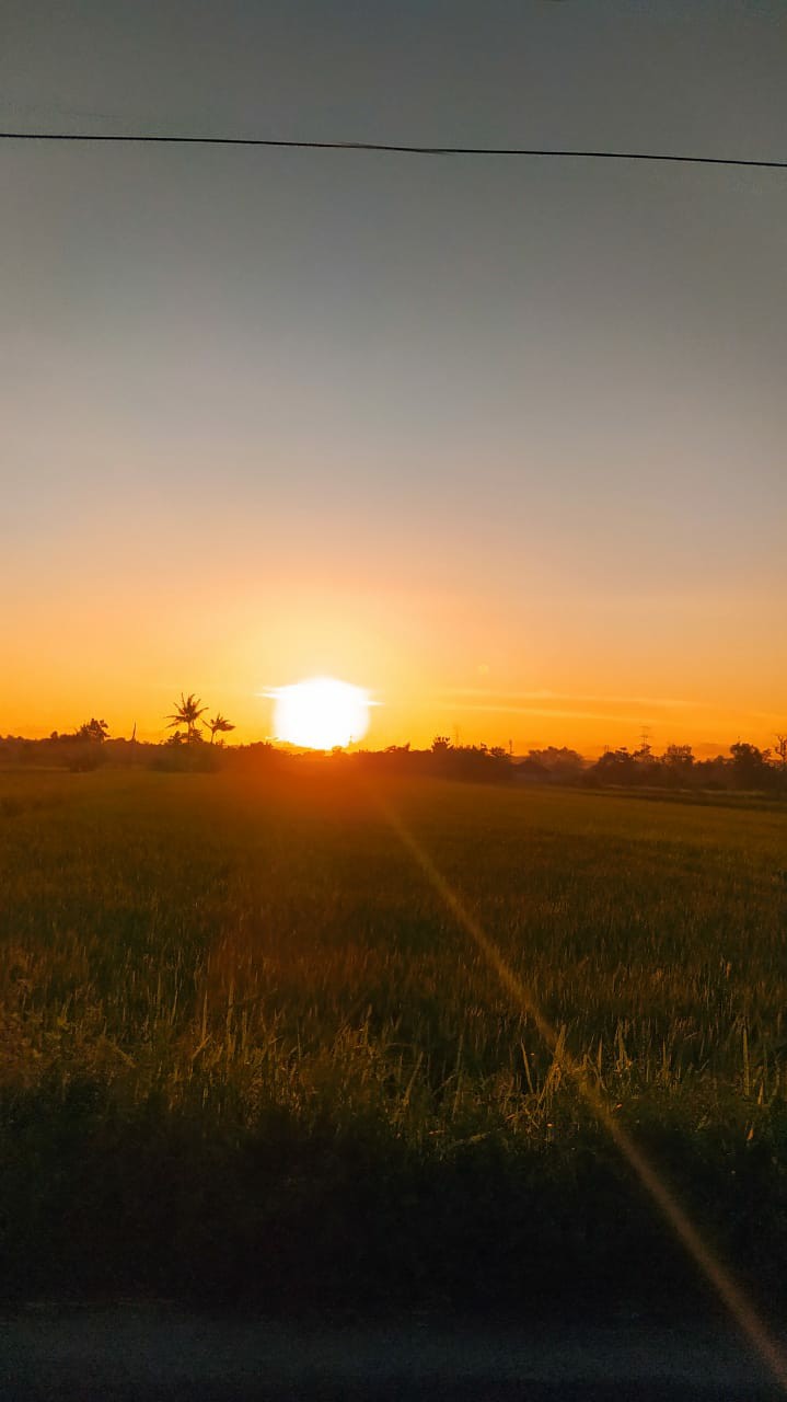 Terpal Plastik Cap Gajah 2 X 3 Meter