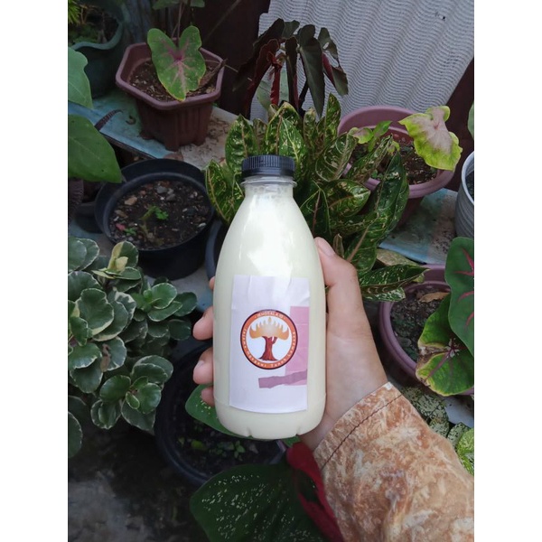 

bubuk es cream jamu,bubuk milkshake jamu