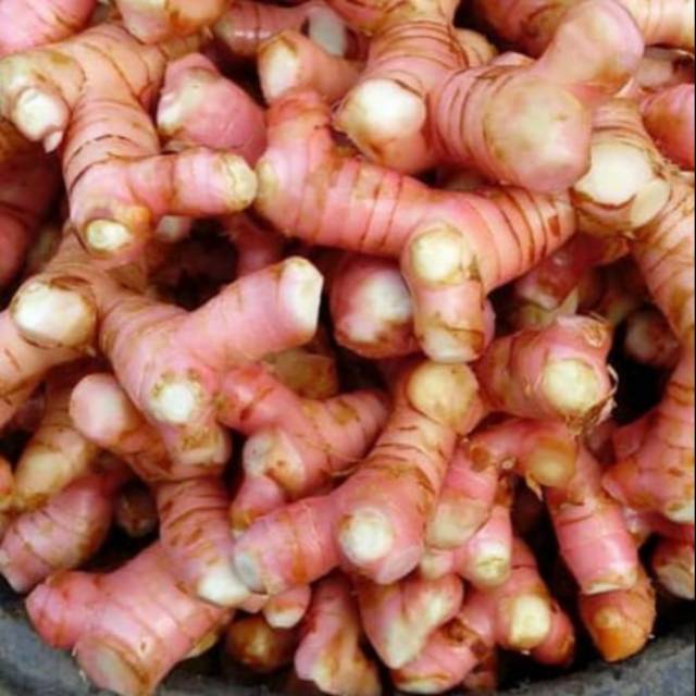 

Lengkuas Segar 250 gram