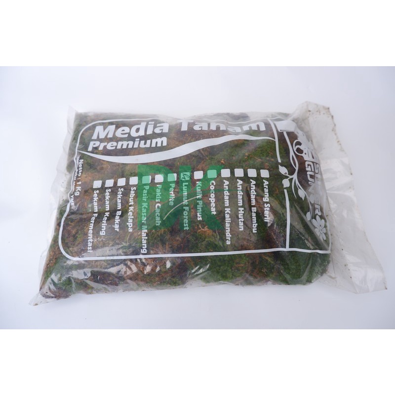 Lumut hutan forest / Lumut Hidup (forest Moss) media tanam kokodema 1 kg