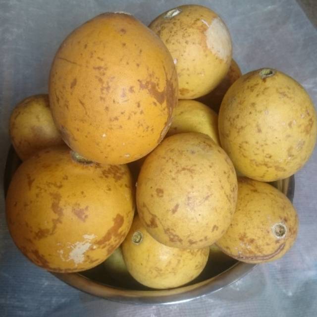 

Terlaris Buah maja legi / buah mojo 1 kg