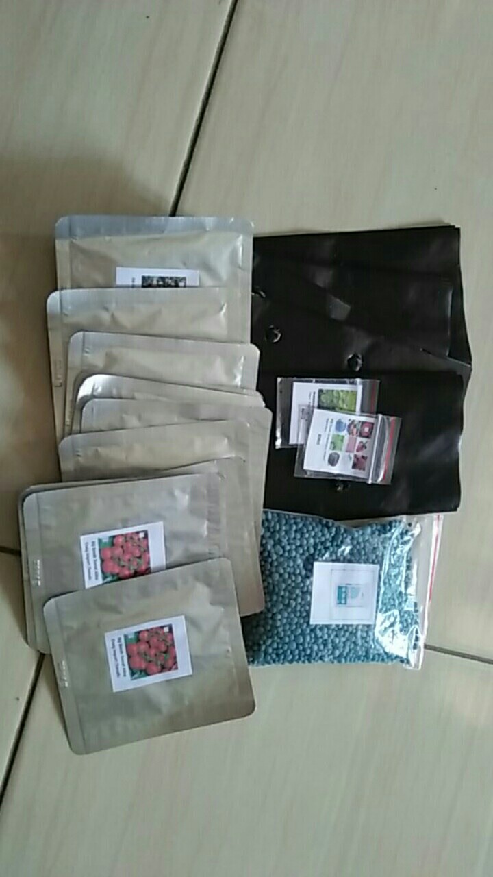 Benih Bibit Buah Gojiberry Wolfberry Import