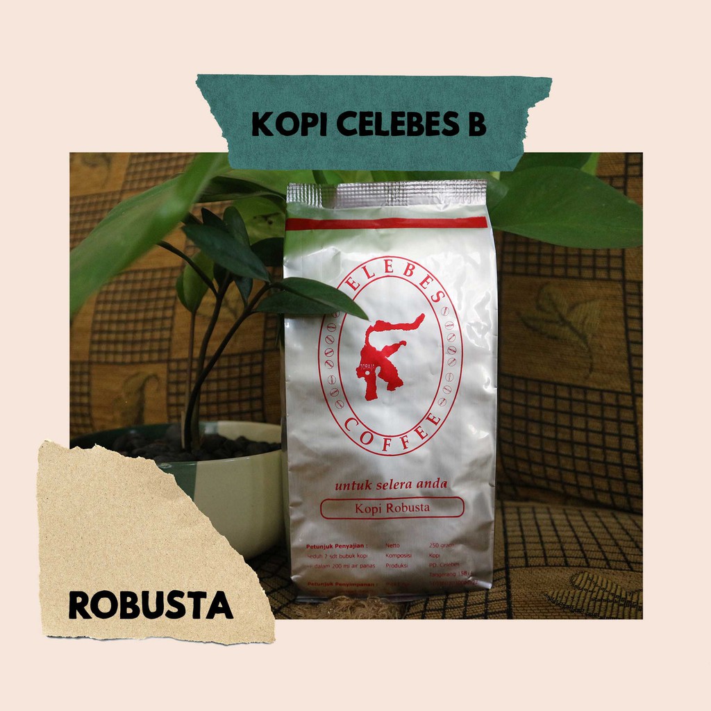 

Kopi Celebes B