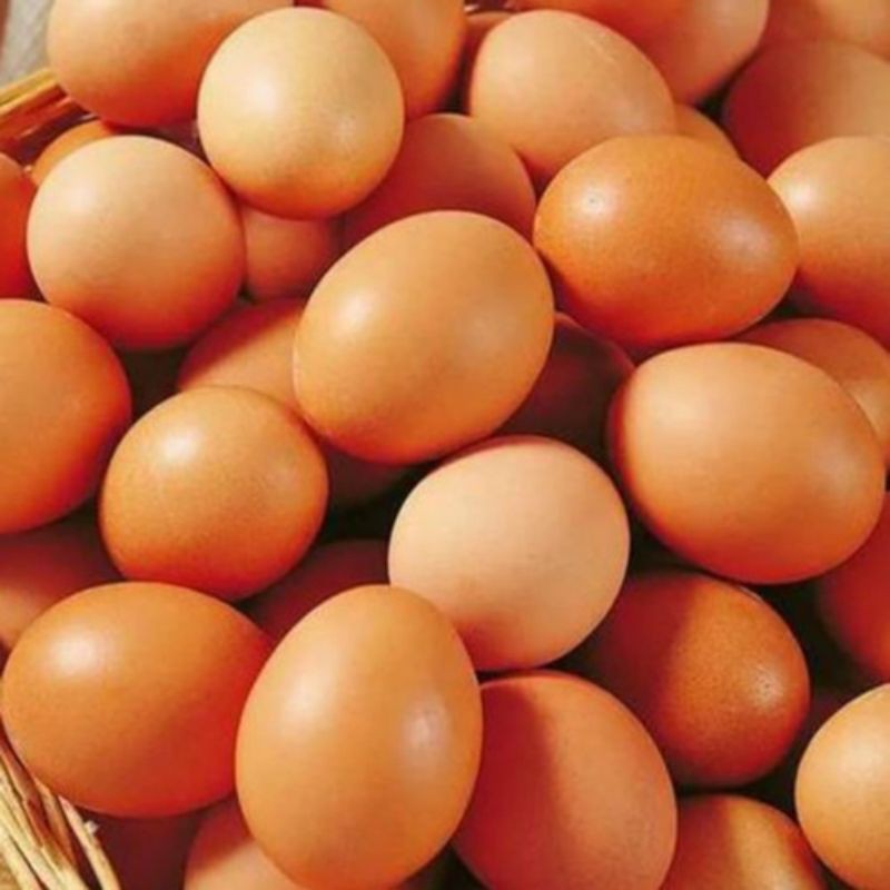 

telur ayam negri 1000gram