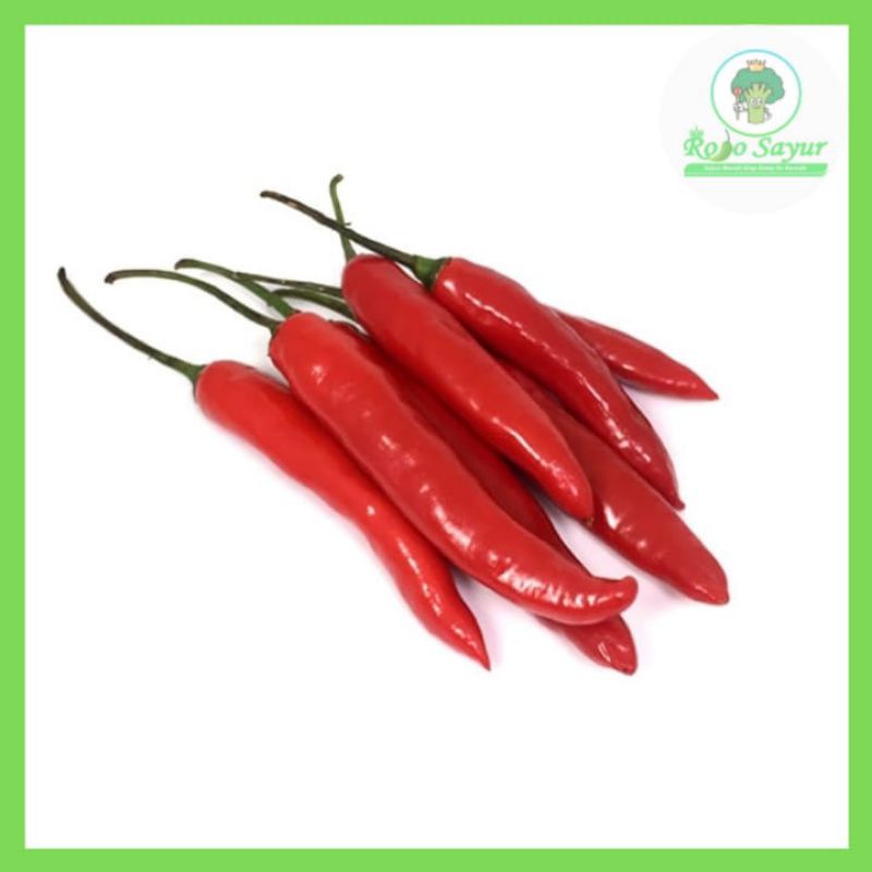 

Cabe Merah Besar